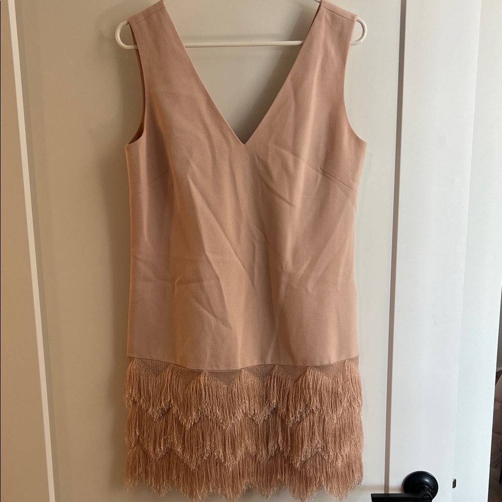 BCBG Elegant Tan Fringe Dress